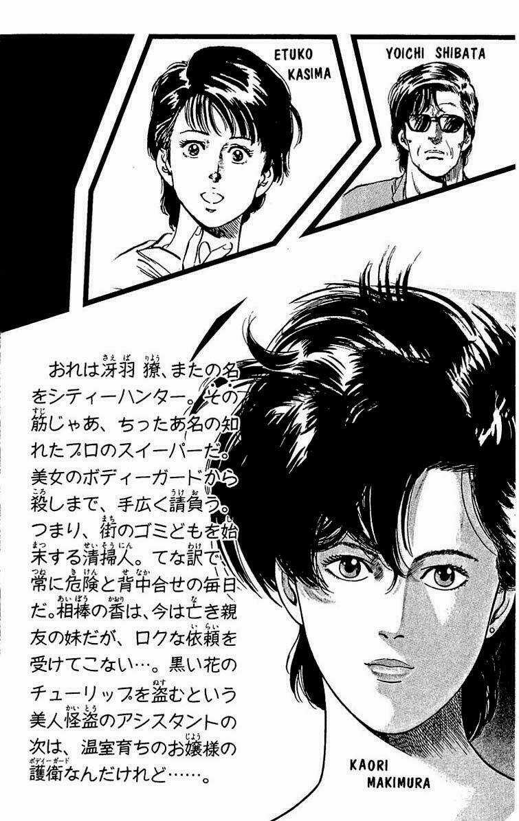 City Hunter Chapter 33 trang 3