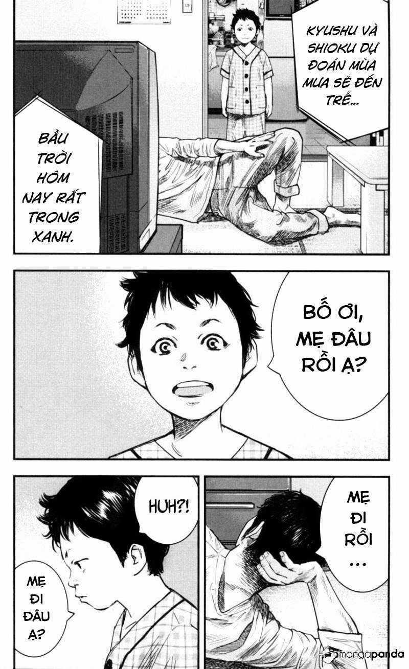 Clover Chapter 268 trang 1