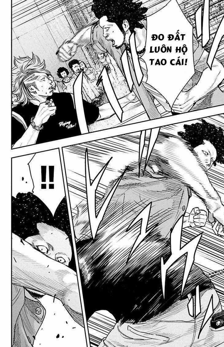 Clover Chapter 317 trang 1