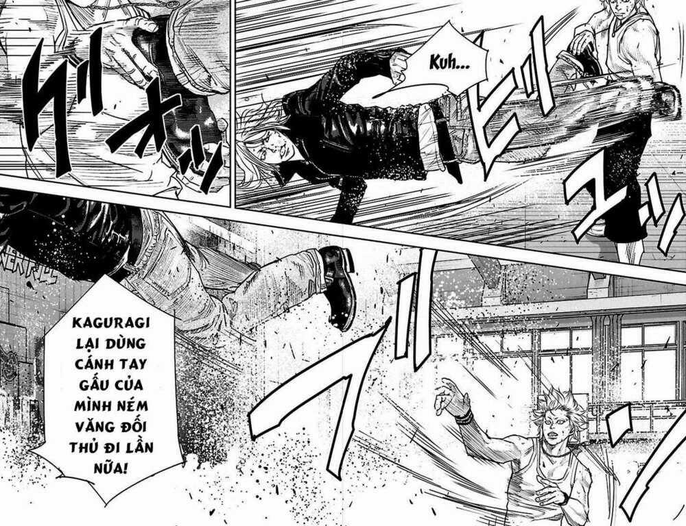 Clover Chapter 324 trang 1