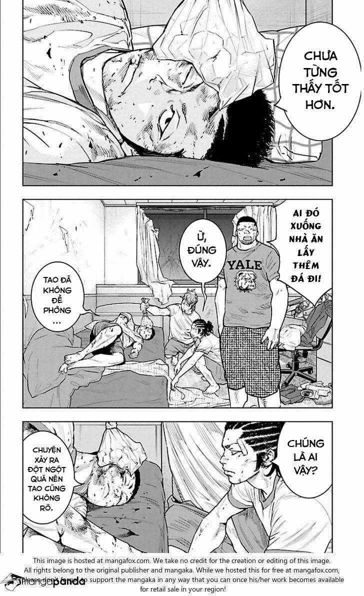 Clover Chapter 336 trang 1
