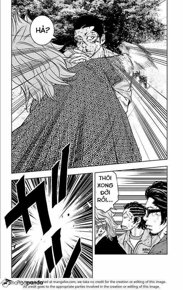 Clover Chapter 339 trang 1