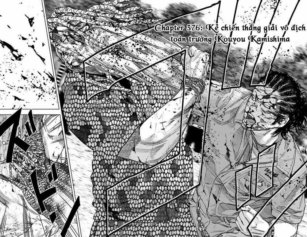 Clover Chapter 376 trang 1
