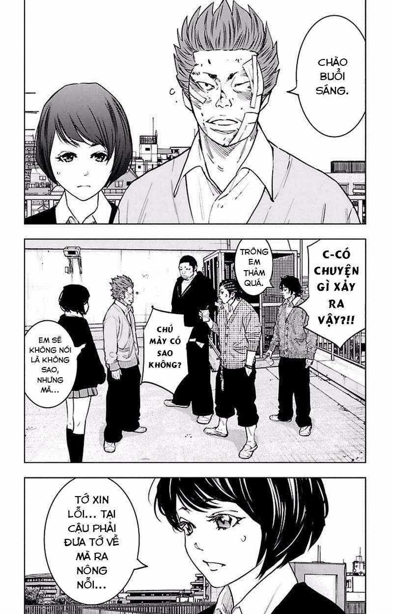 Clover Chapter 384 trang 1