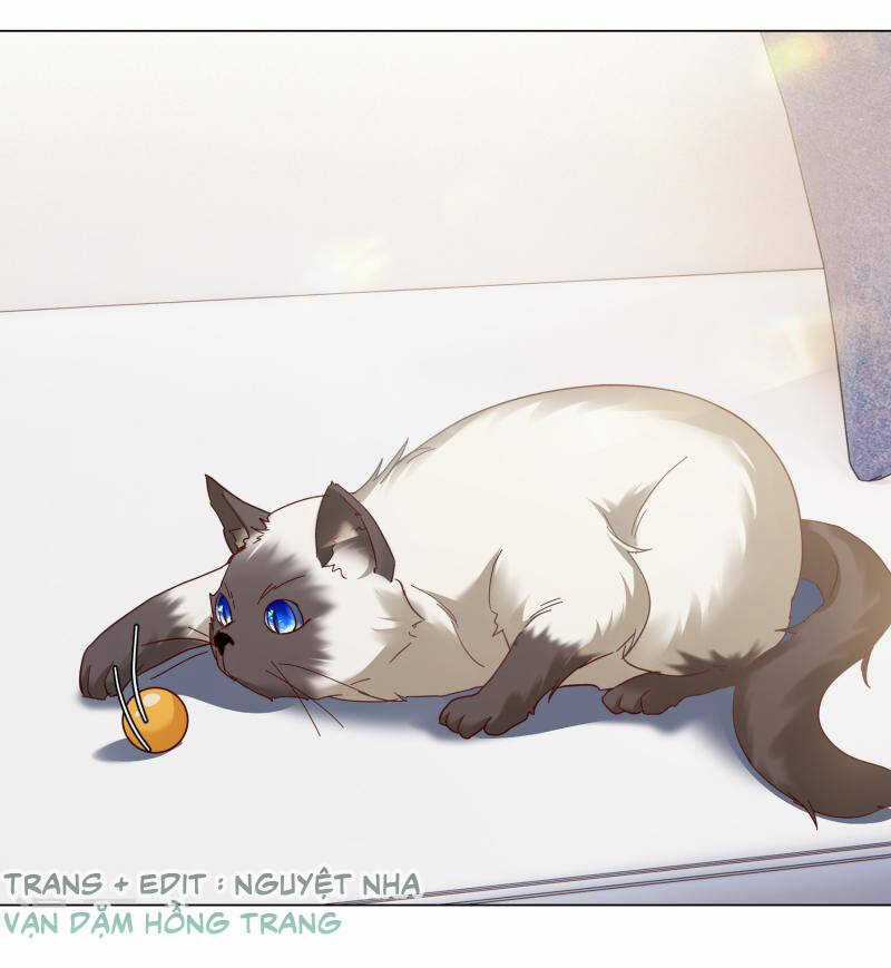 Cô Ấy Đến Rồi, Xin Nằm Xuống! Chapter 274 trang 13