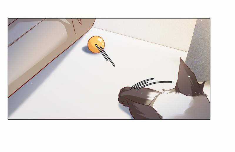 Cô Ấy Đến Rồi, Xin Nằm Xuống! Chapter 274 trang 14