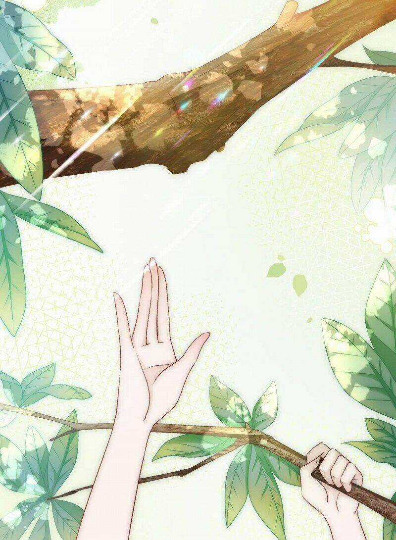 Cô Ấy Ngày Nào Cũng Lên Hot Search! Chapter 25 trang 1