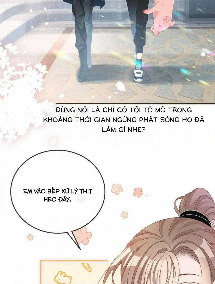 Cô Ấy Ngày Nào Cũng Lên Hot Search! Chapter 39 trang 1