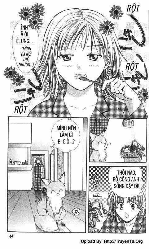 Cô Bé Nghèo Khó Chapter 2 trang 2