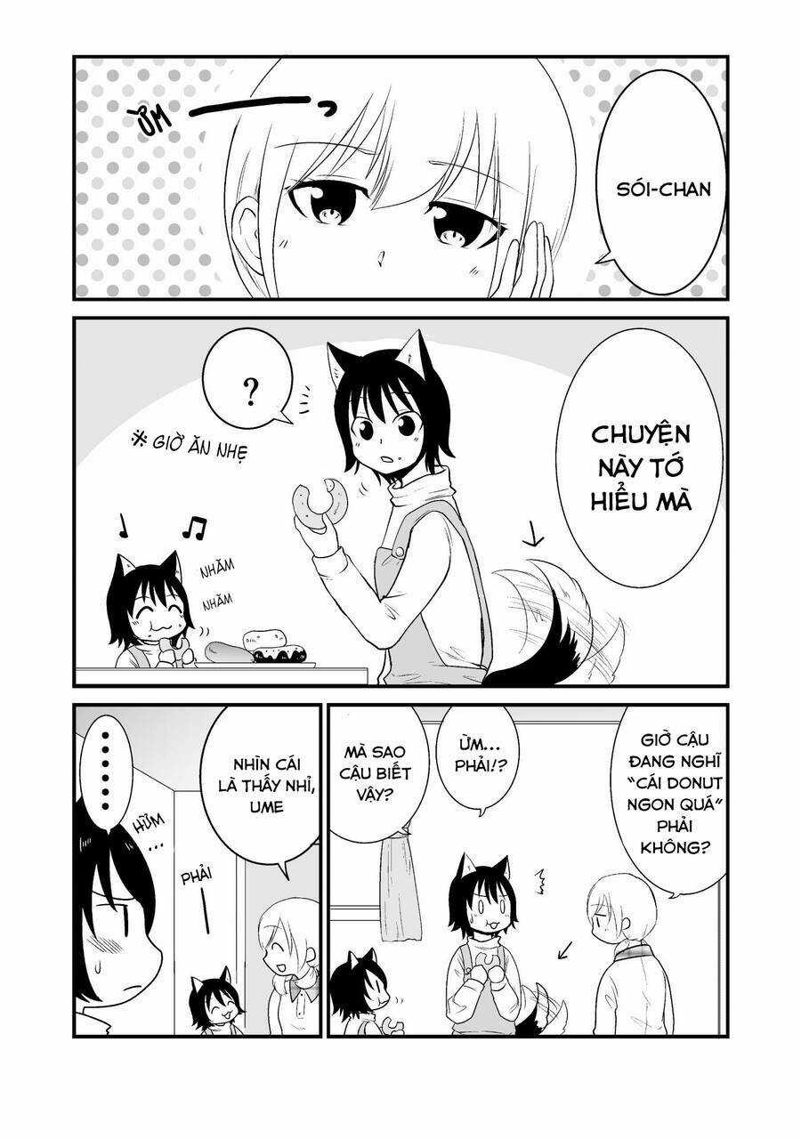 Cô bé quàng khăn đỏ thịt Sói Chapter 10 trang 2