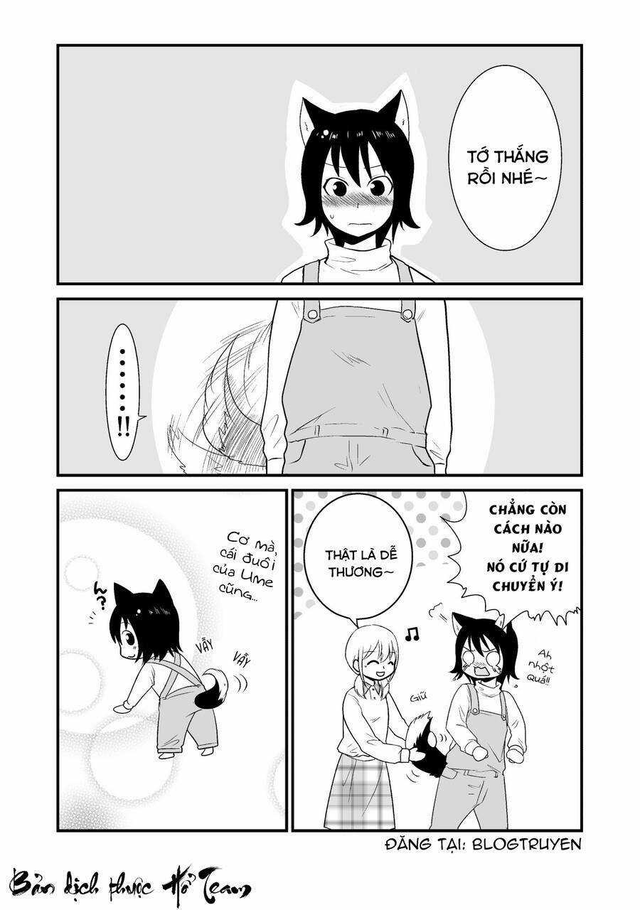 Cô bé quàng khăn đỏ thịt Sói Chapter 10 trang 7