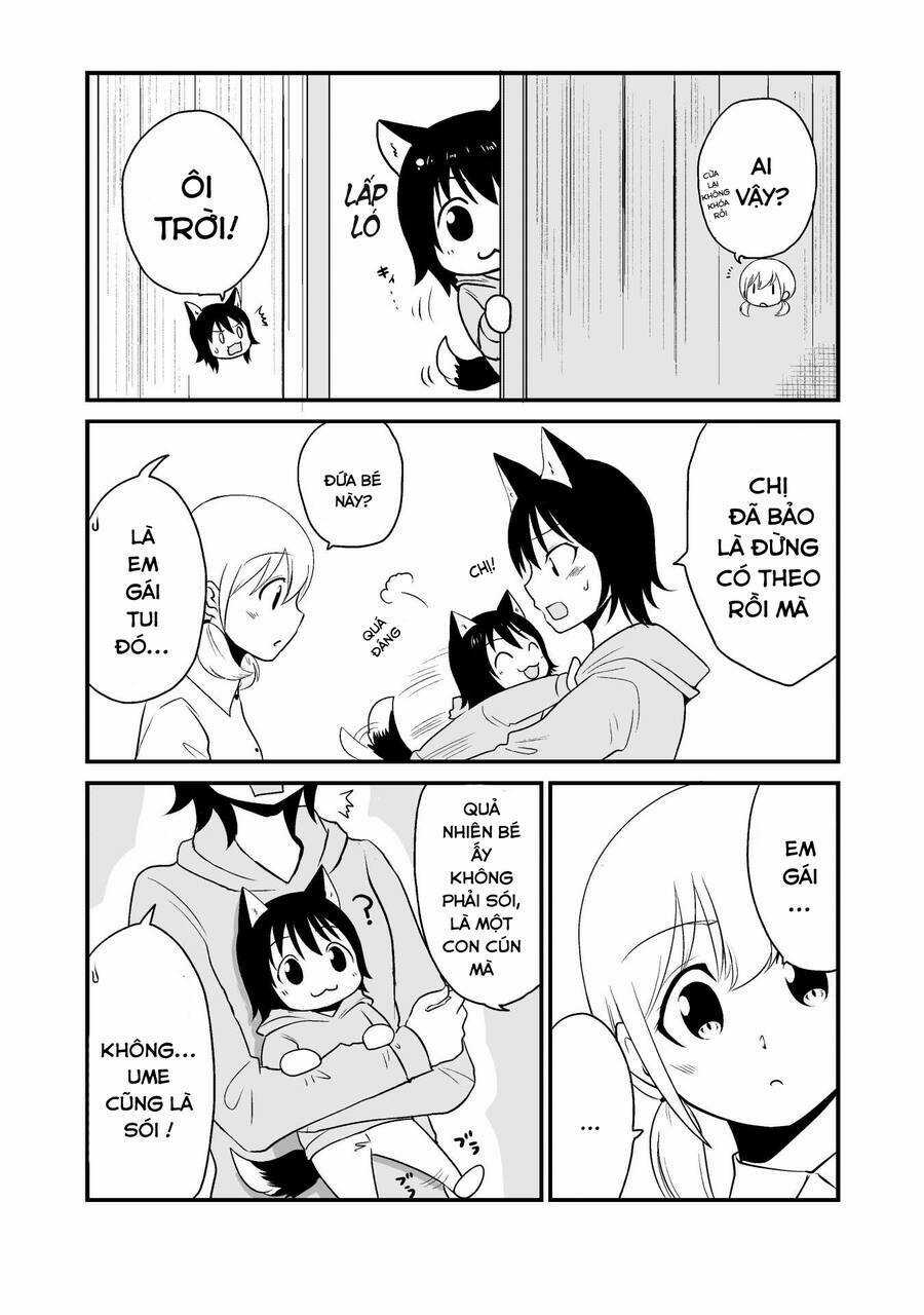 Cô bé quàng khăn đỏ thịt Sói Chapter 4 trang 2