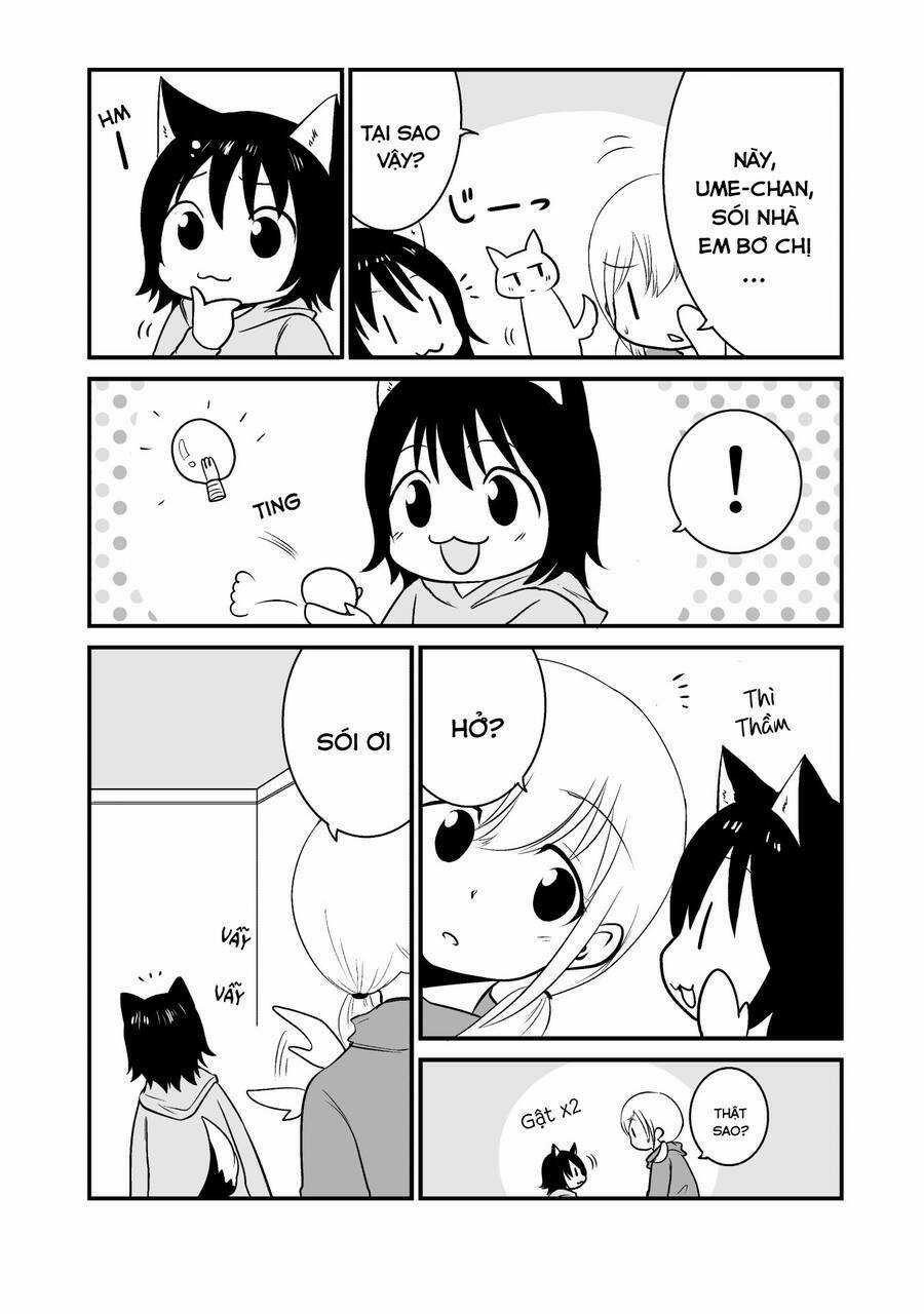 Cô bé quàng khăn đỏ thịt Sói Chapter 7 trang 2