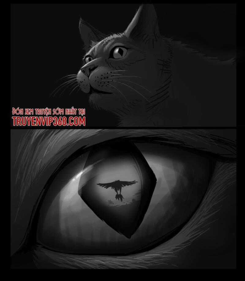 Cỏ Dại Chapter 3 trang 12