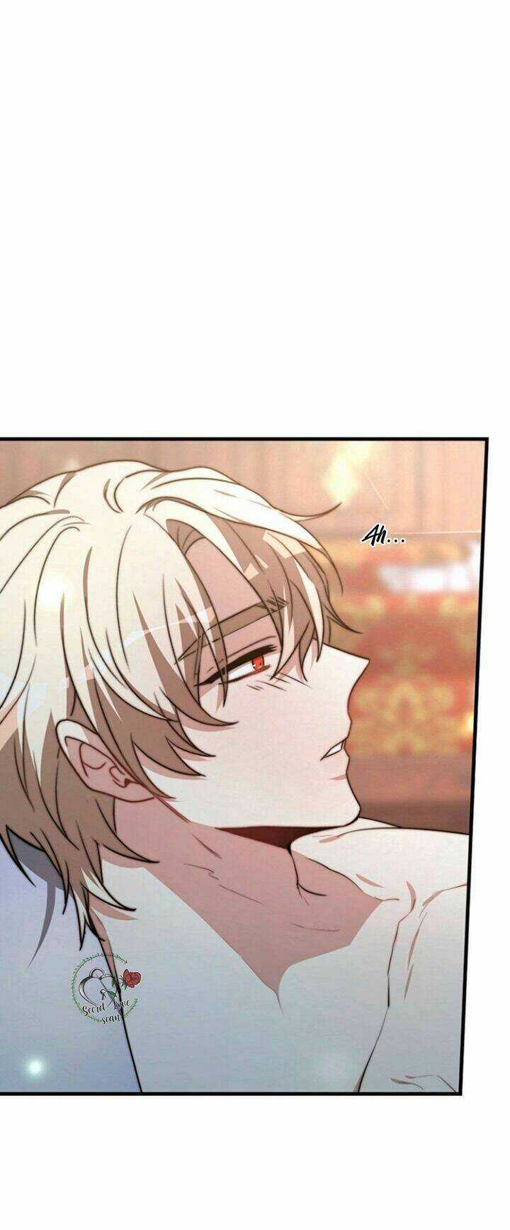 Cô Dâu Của Elysian Chapter 22 trang 42