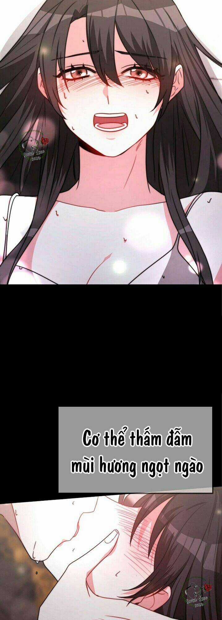 Cô Dâu Của Elysian Chapter 24 trang 40