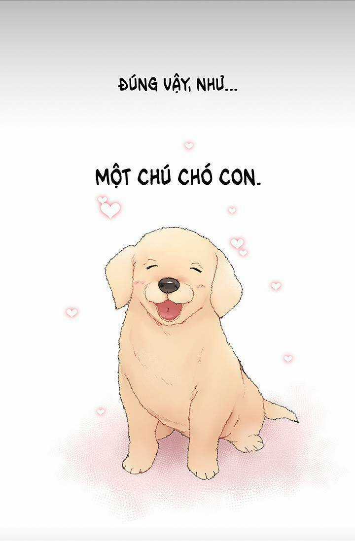 Cô Dâu Của Miêu Hoàng Tử Chapter 1 trang 4