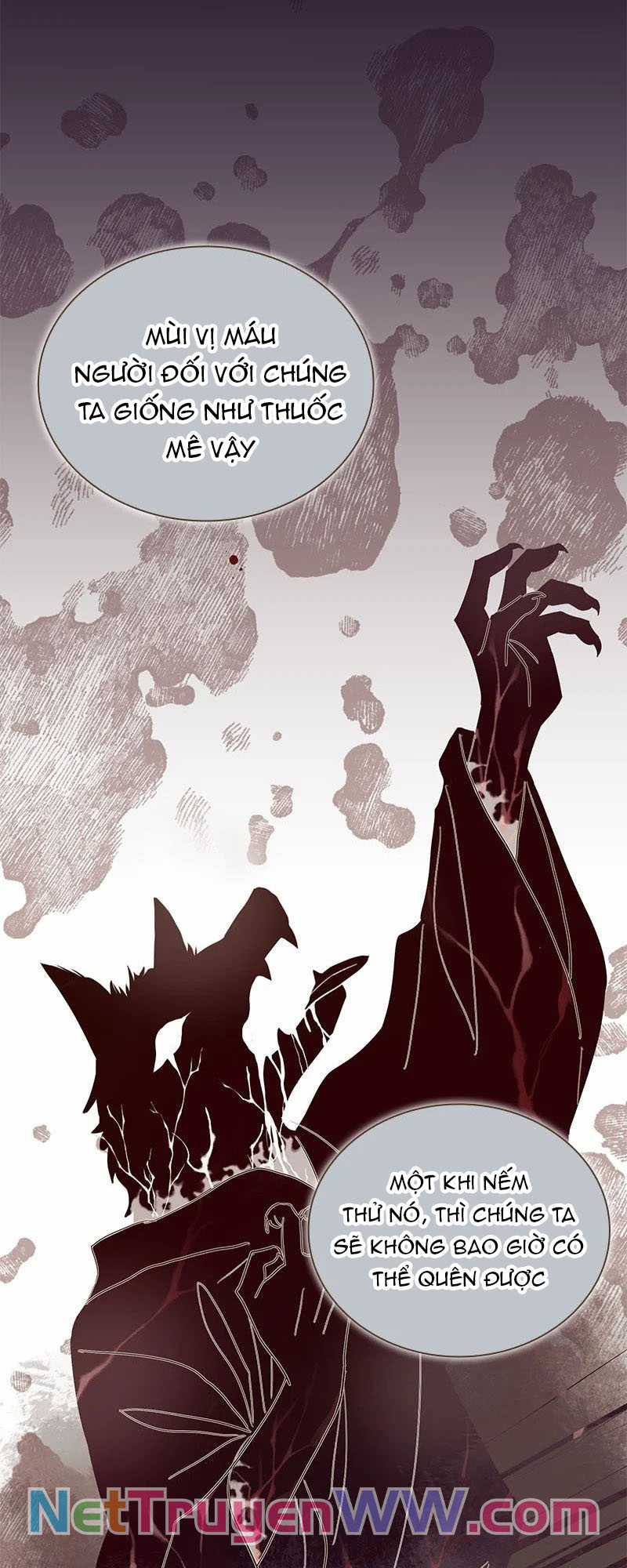 Cô dâu của sói trắng Chapter 10 trang 11