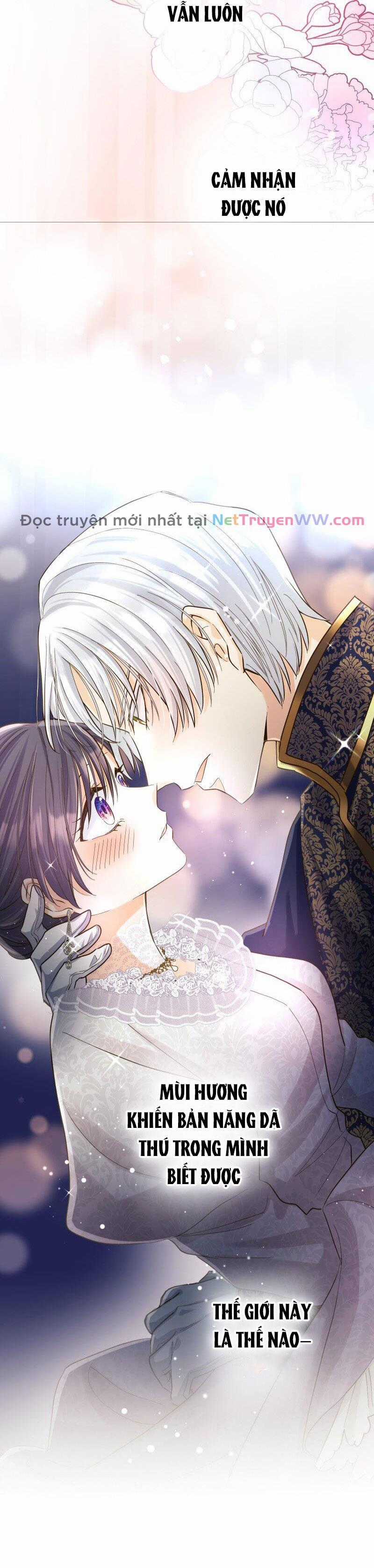 Cô dâu của sói trắng Chapter 17 trang 11