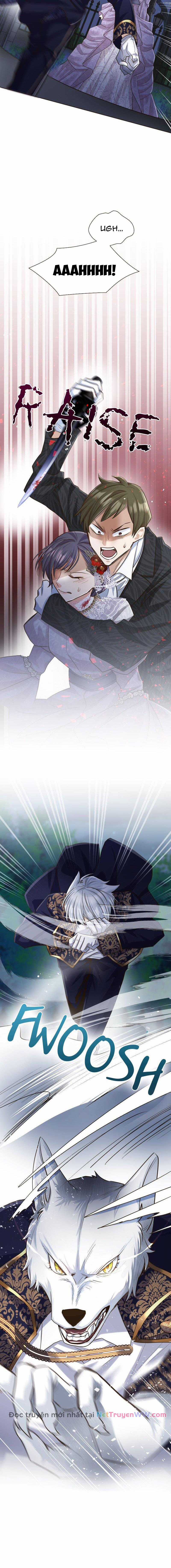 Cô dâu của sói trắng Chapter 19 trang 11