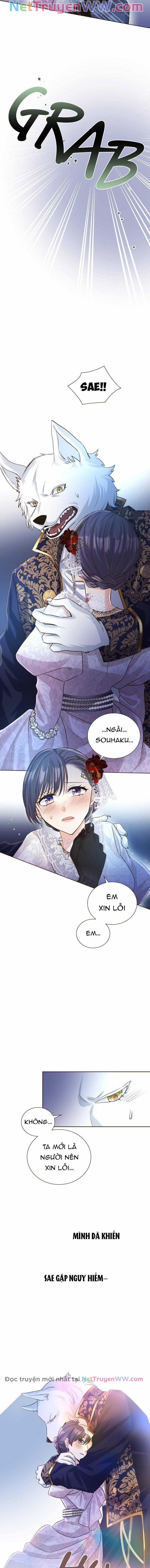 Cô dâu của sói trắng Chapter 19 trang 13