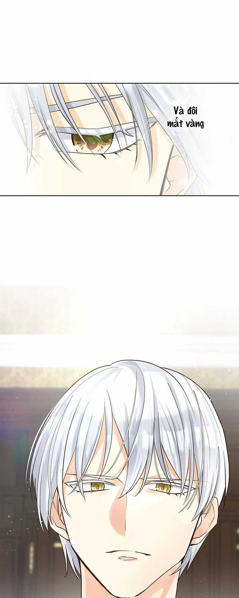 Cô dâu của sói trắng Chapter 2 trang 17