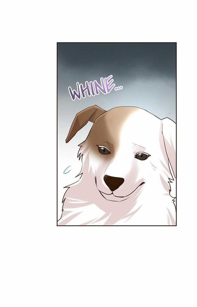 Cô dâu của sói trắng Chapter 21 trang 8