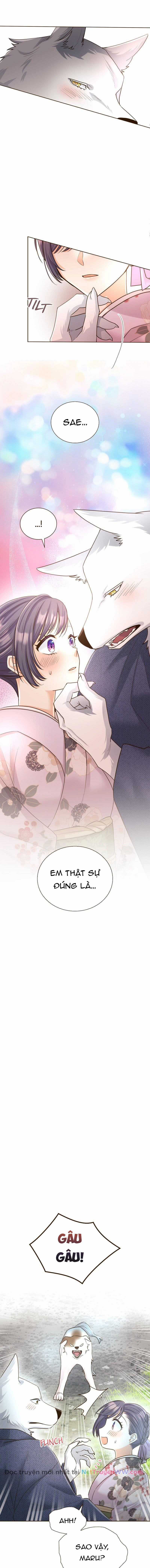 Cô dâu của sói trắng Chapter 28 trang 6