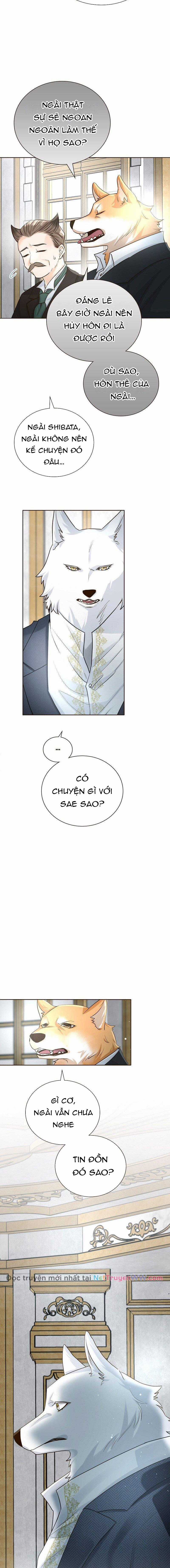 Cô dâu của sói trắng Chapter 31 trang 8