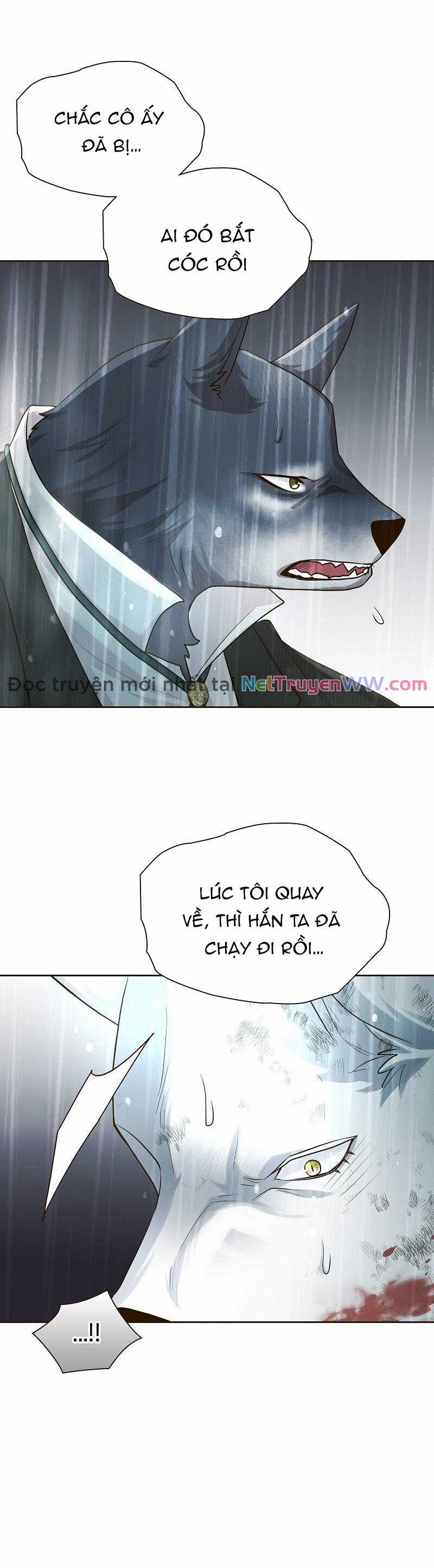 Cô dâu của sói trắng Chapter 41 trang 39