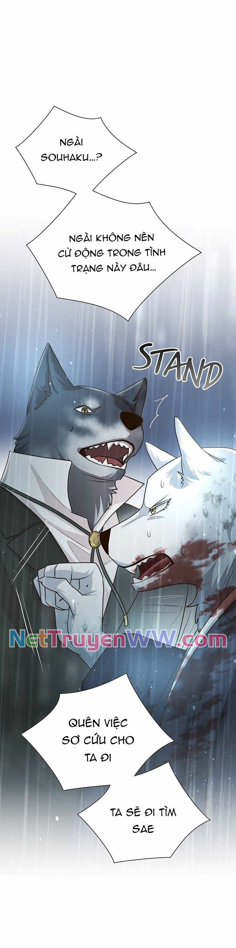 Cô dâu của sói trắng Chapter 41 trang 40