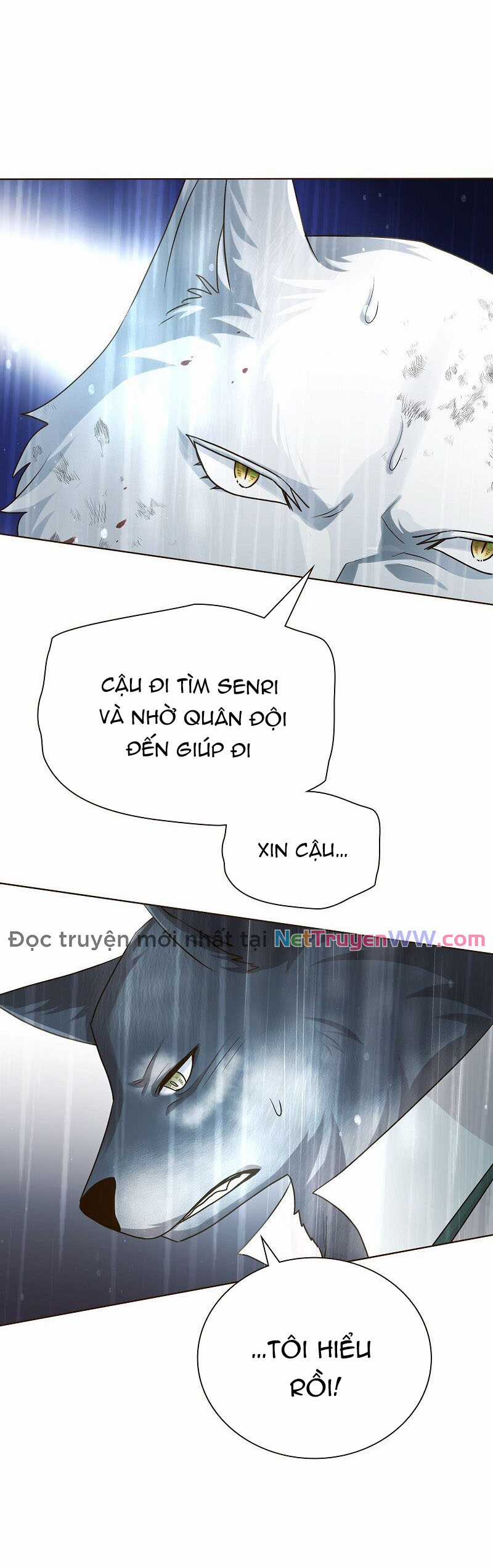 Cô dâu của sói trắng Chapter 41 trang 41