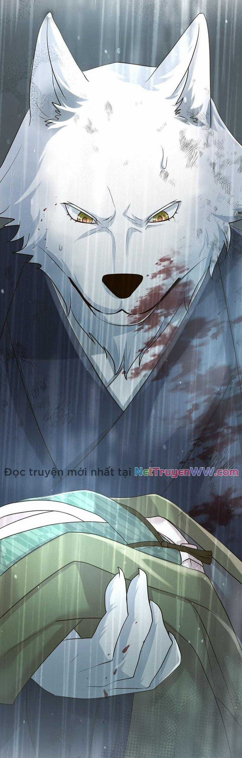 Cô dâu của sói trắng Chapter 41 trang 45