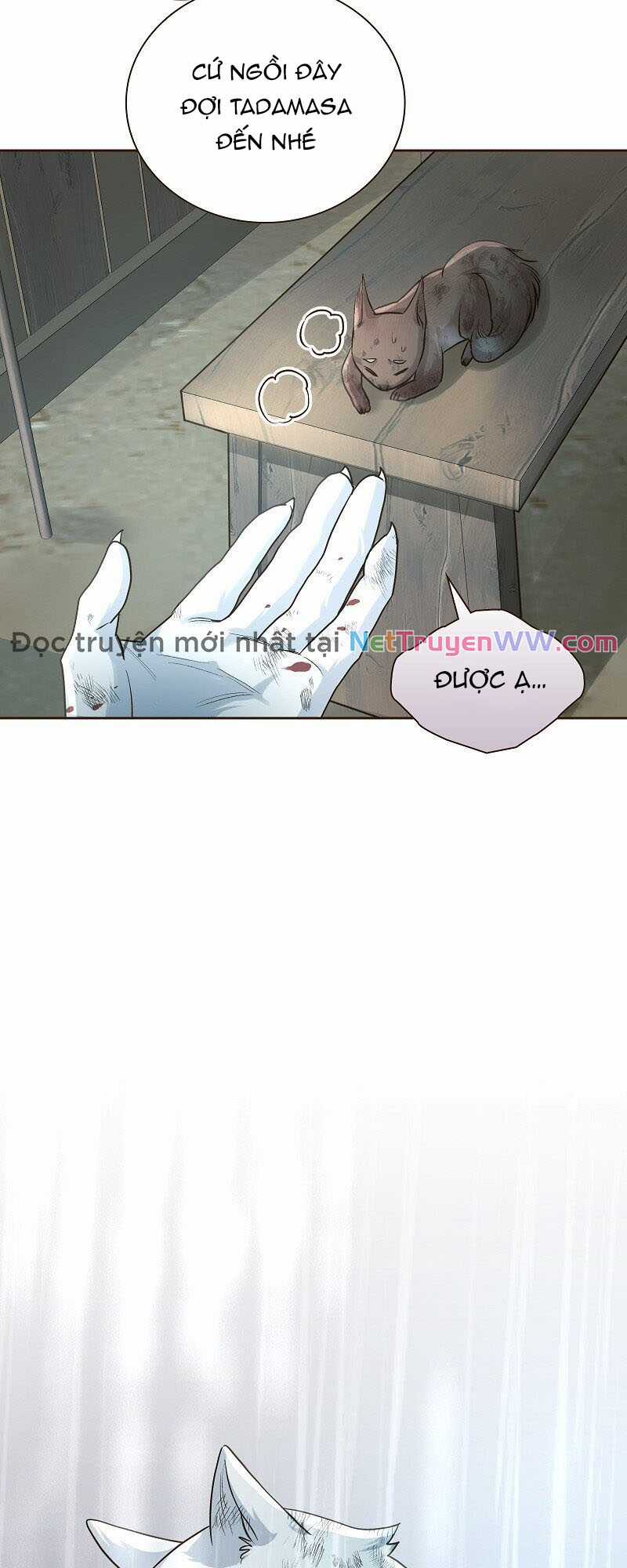 Cô dâu của sói trắng Chapter 42 trang 10