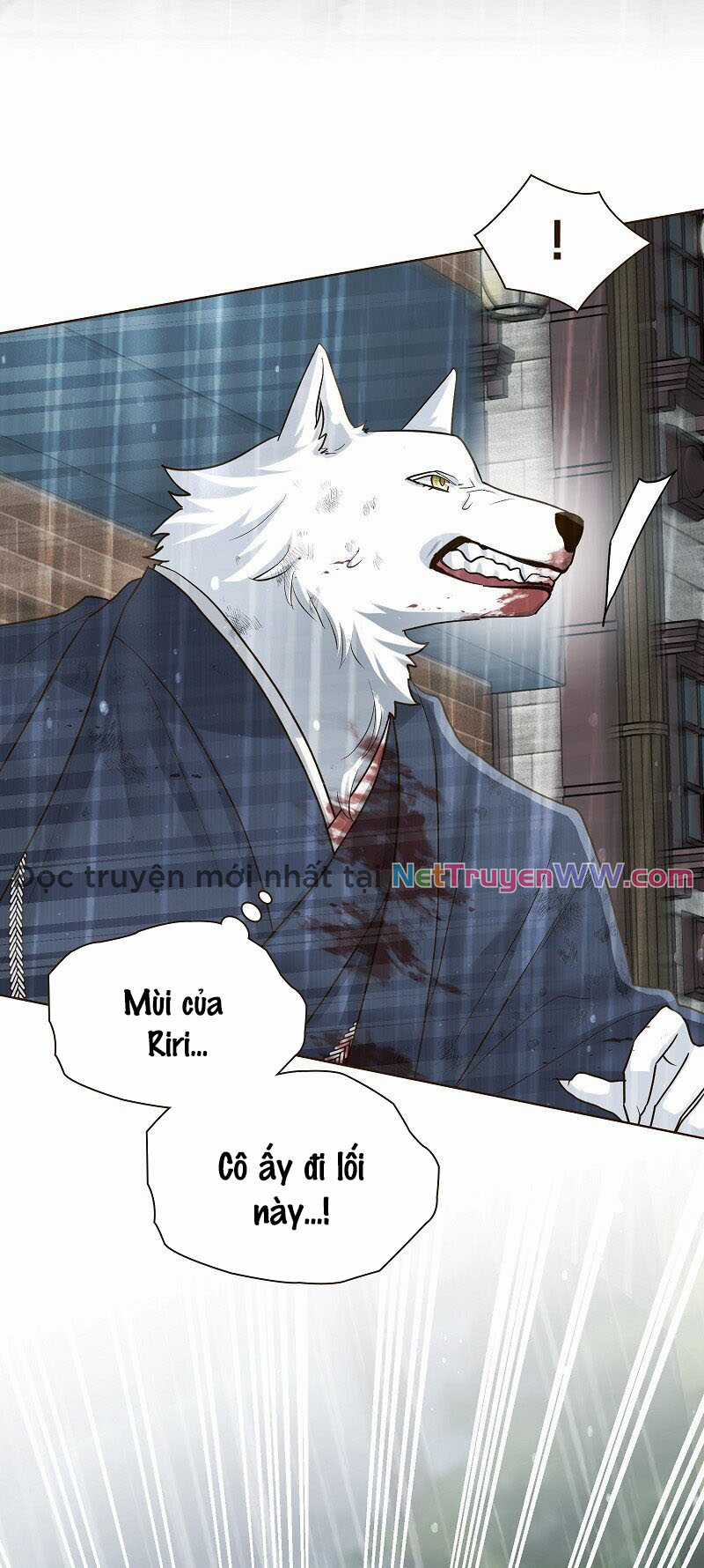 Cô dâu của sói trắng Chapter 42 trang 2