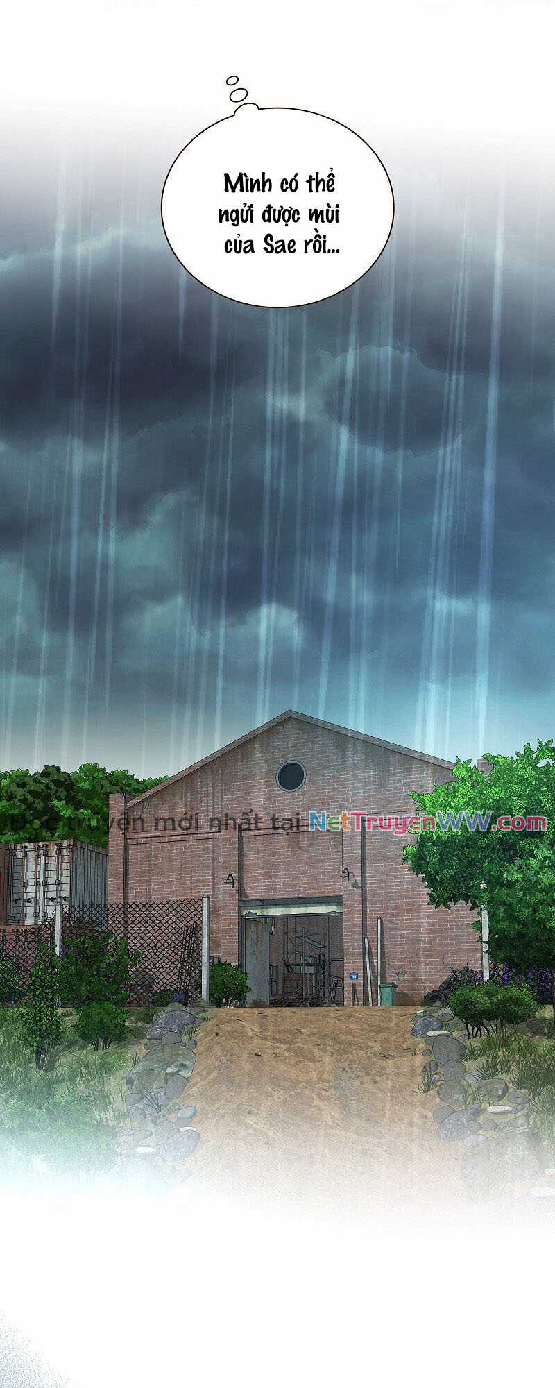 Cô dâu của sói trắng Chapter 42 trang 34