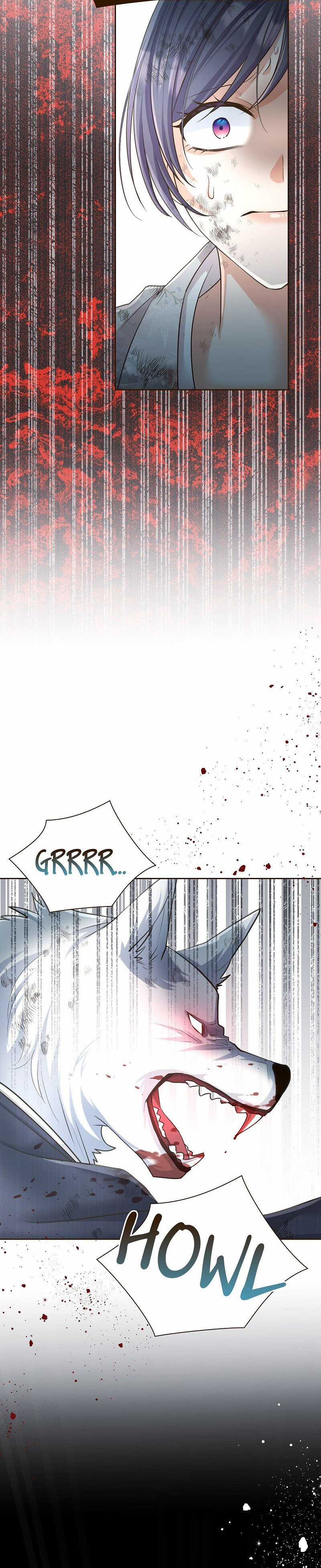 Cô dâu của sói trắng Chapter 43 trang 11