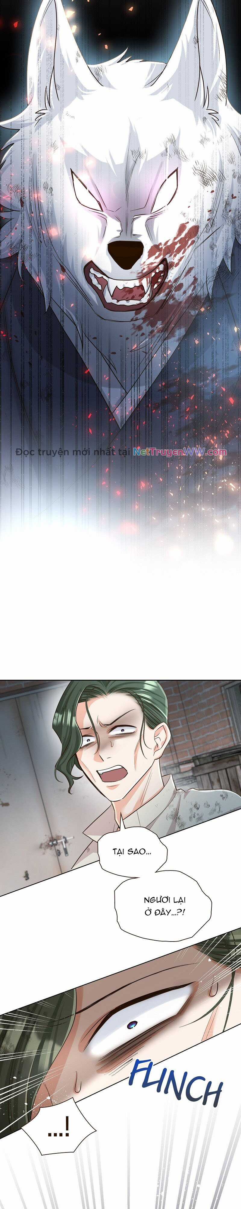 Cô dâu của sói trắng Chapter 43 trang 2