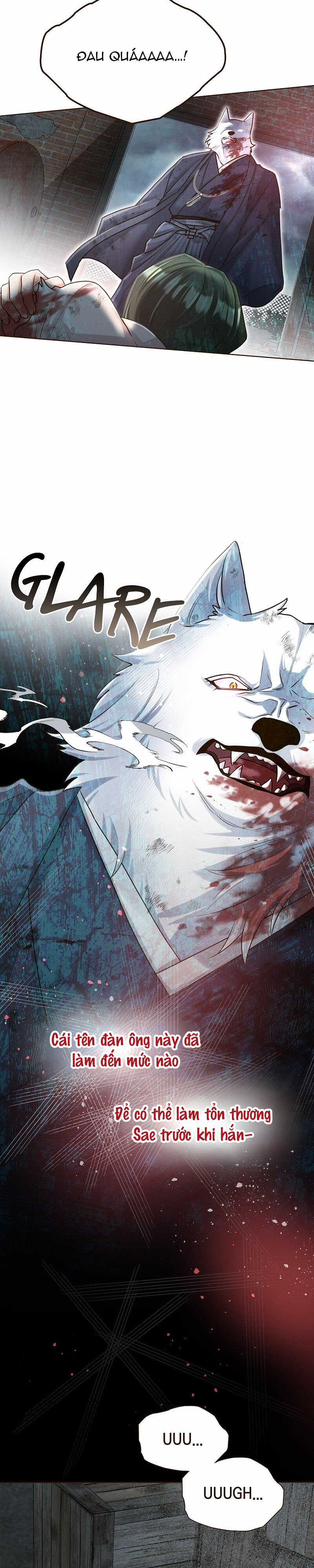 Cô dâu của sói trắng Chapter 43 trang 6