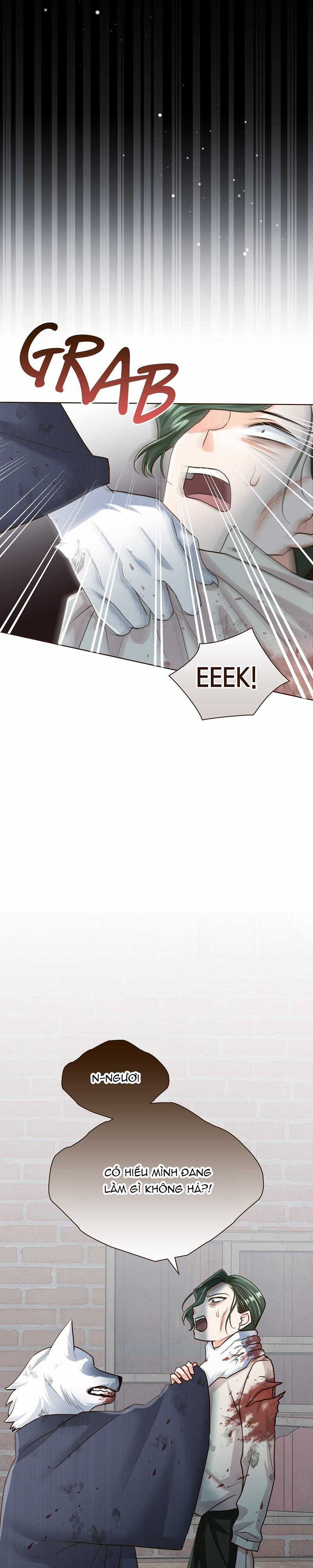 Cô dâu của sói trắng Chapter 43 trang 9