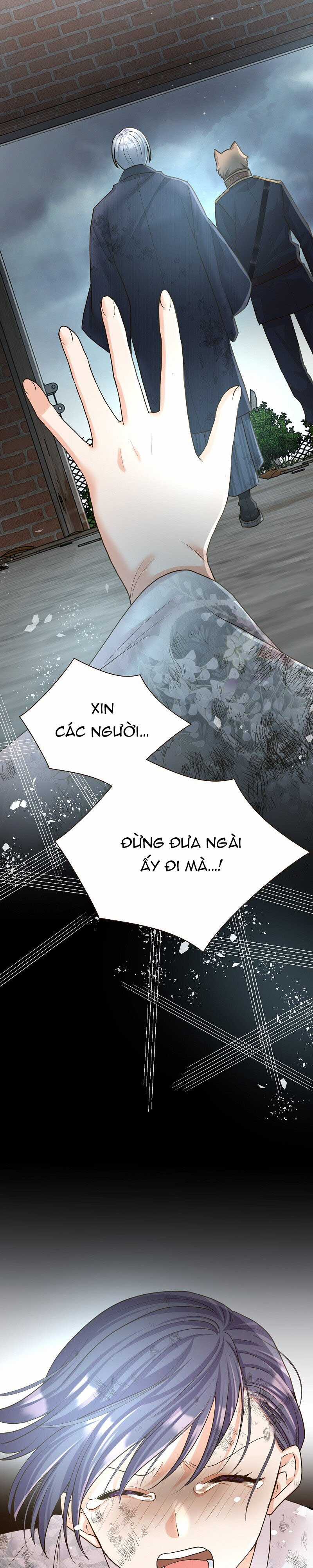 Cô dâu của sói trắng Chapter 44 trang 11