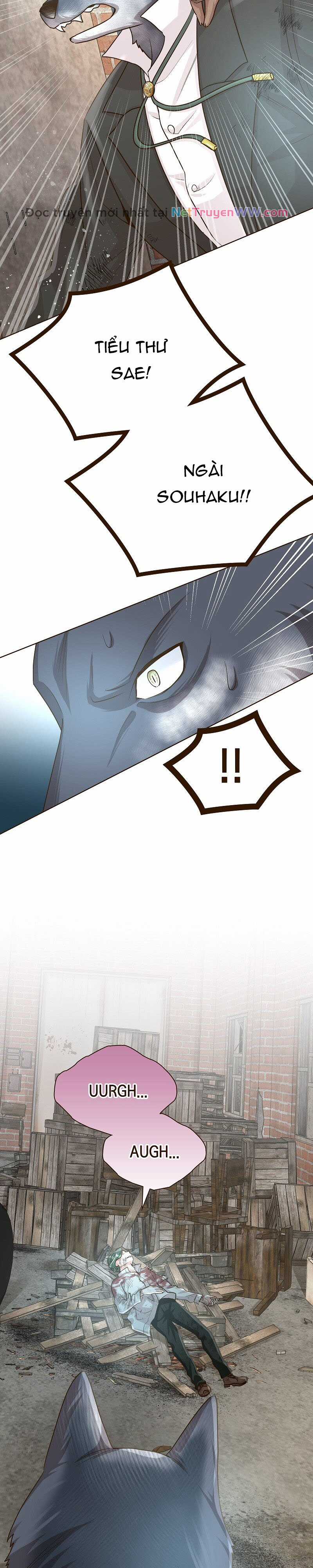 Cô dâu của sói trắng Chapter 44 trang 3