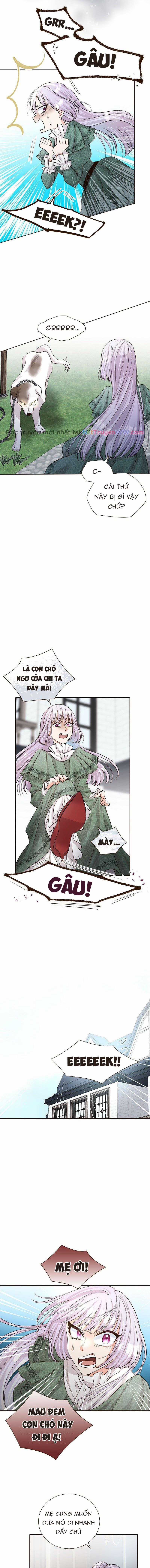 Cô dâu của sói trắng Chapter 8 trang 2