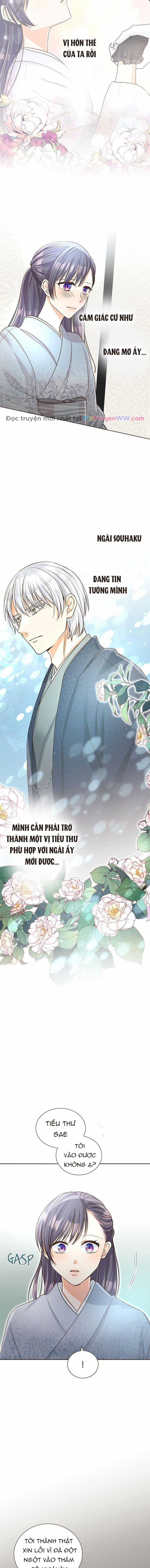 Cô dâu của sói trắng Chapter 8 trang 6