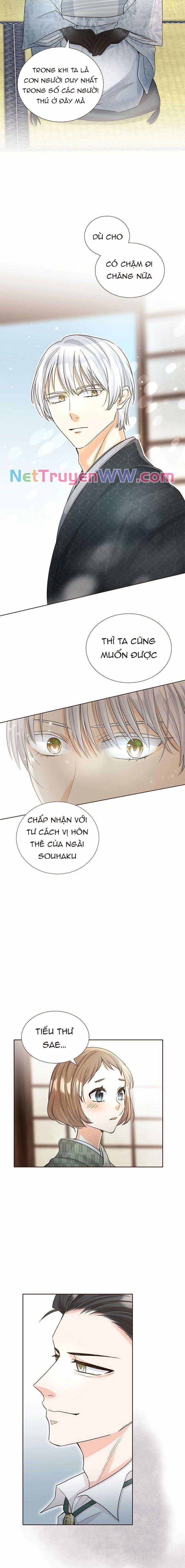 Cô dâu của sói trắng Chapter 9 trang 5