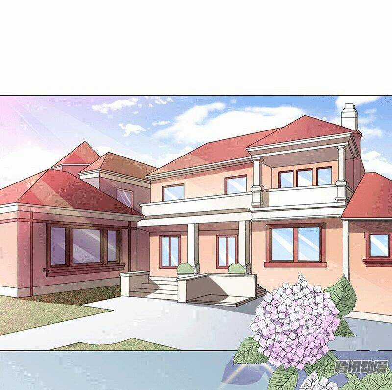 Cô Dâu Gả Thay Của Tổng Tài Chapter 1 trang 1