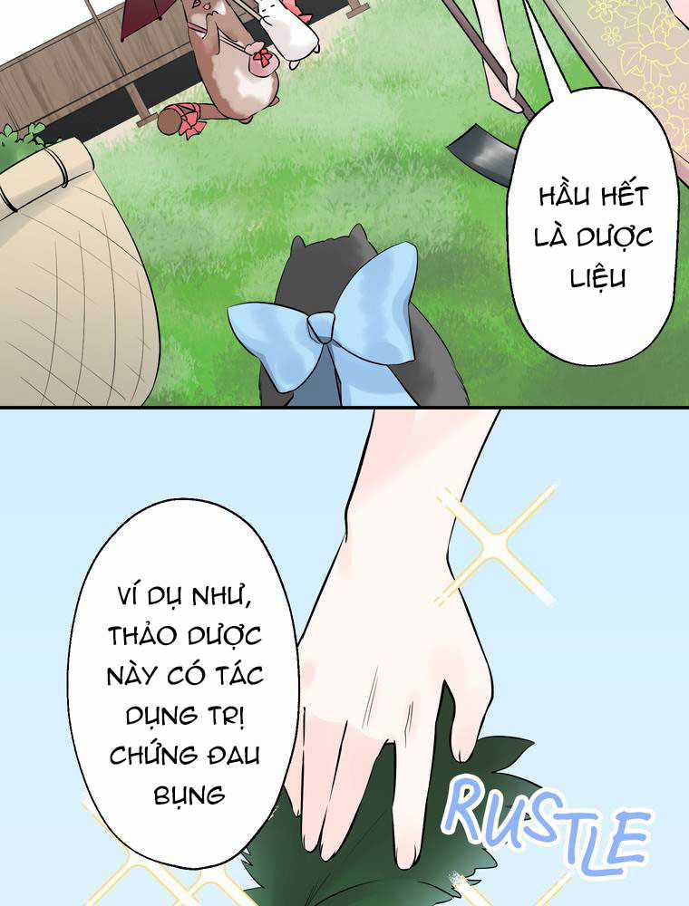 Cô Dâu Hiến Tế Của Thủy Thần Chapter 10 trang 6