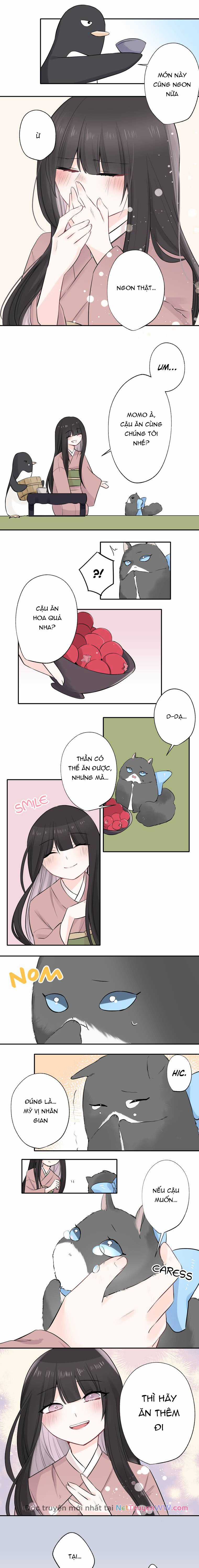 Cô Dâu Hiến Tế Của Thủy Thần Chapter 3 trang 3