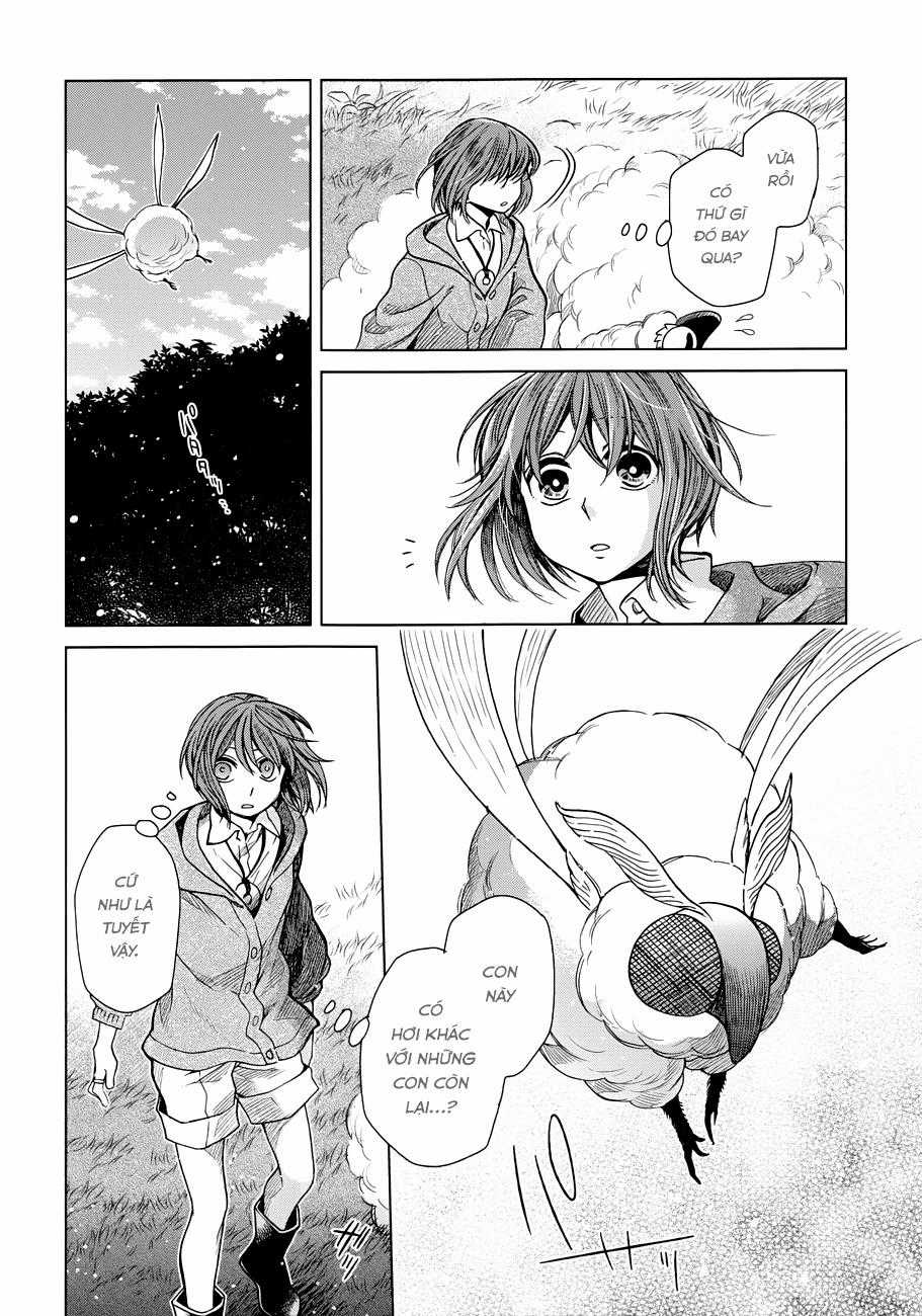 Cô Dâu Pháp Sư Chương 19 trang 13