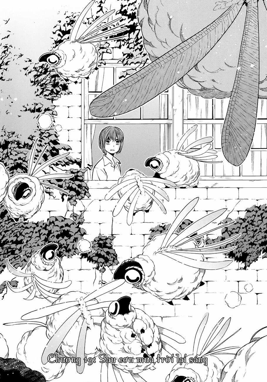 Cô Dâu Pháp Sư Chương 19 trang 5